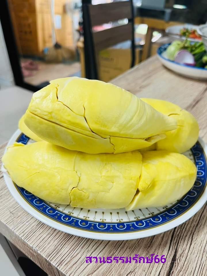 ผลทุเรียน