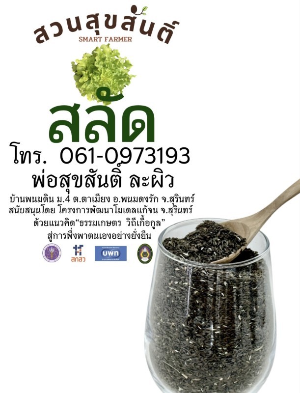 เมล็ดพันธุ์สลัด