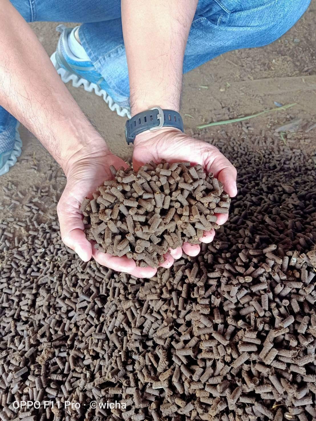 ปุ๋ยคอกอัดเม็ดชนิดเข้มข้นและปุ๋ยหมักชนิดผง