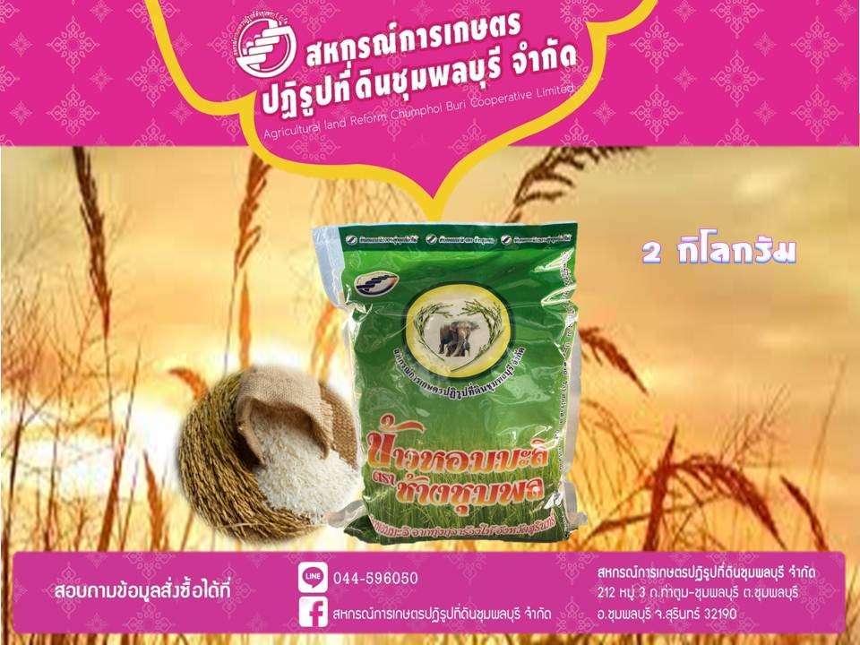 ข้าวสารหอมมะลิ สหกรณ์การเกษตรปฏิรูปที่ดินชุมพลบุรี จำกัด