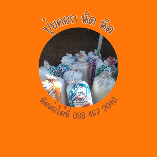 วิสาหกิจชุมชนโรคกระบือเข้มแข็งบ้านกะโงกพัฒนา