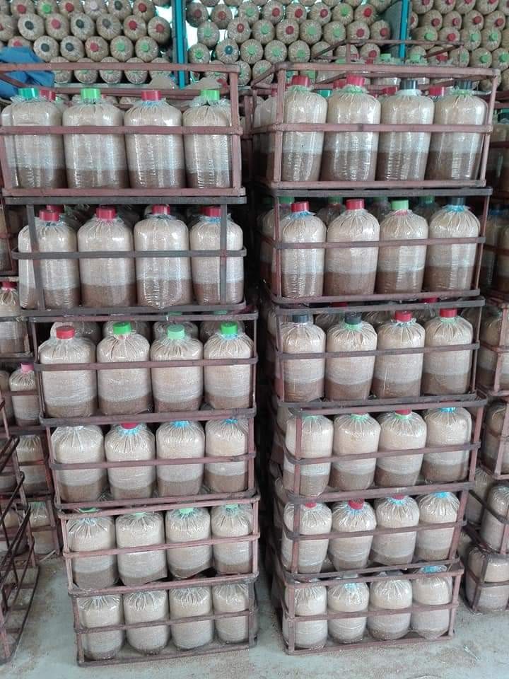 ฟาร์มเห็ดสุรวัฒน์