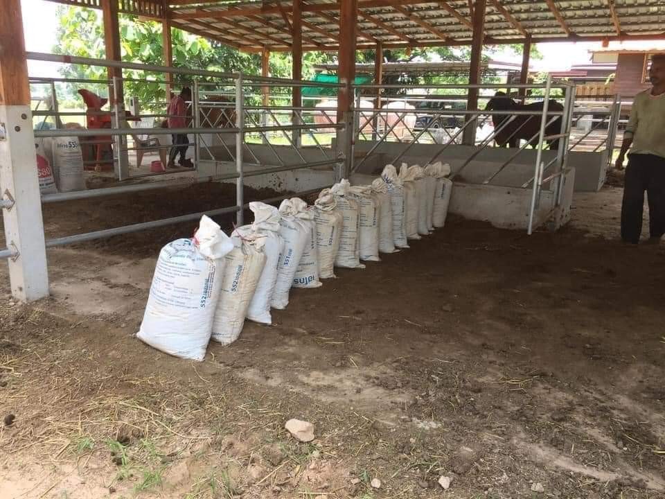 ปุ๋ยมูลวัว