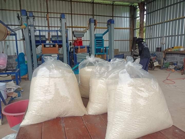 ข้าวหอมมะลิ