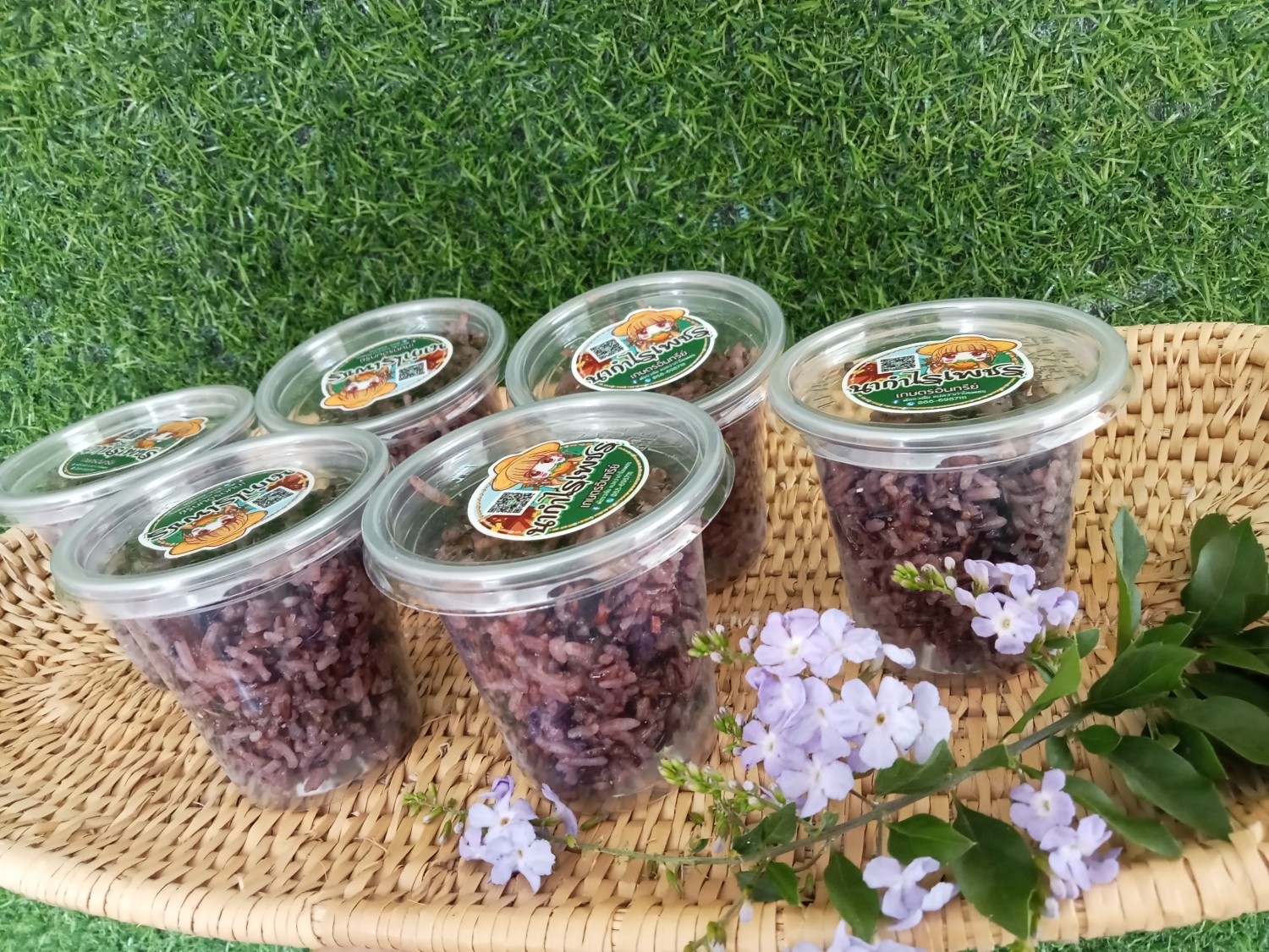 ข้าวหมากม่วง