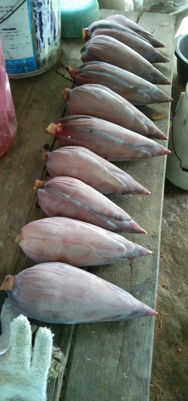 ผักปลอดสาร