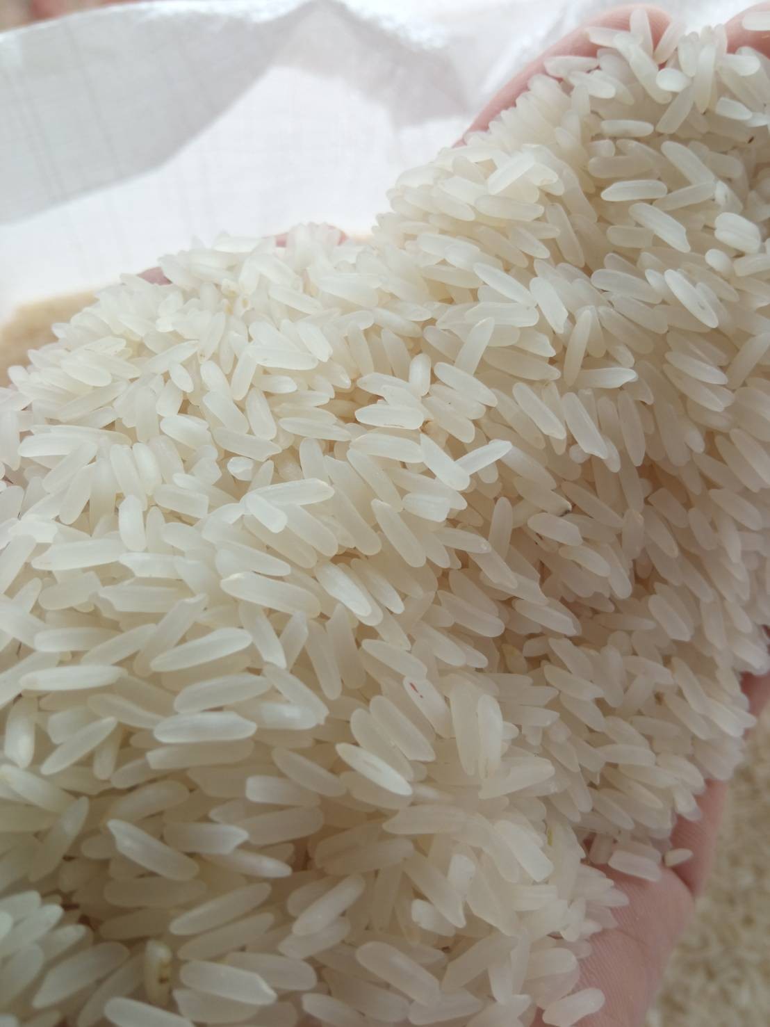 ข้าวหอมมะลิใหม่ล่าสุด 5 ก.ก. ปลูกแบบอินทรีย์ หอม กลิ่นใบเตย นุ่ม อร่อย