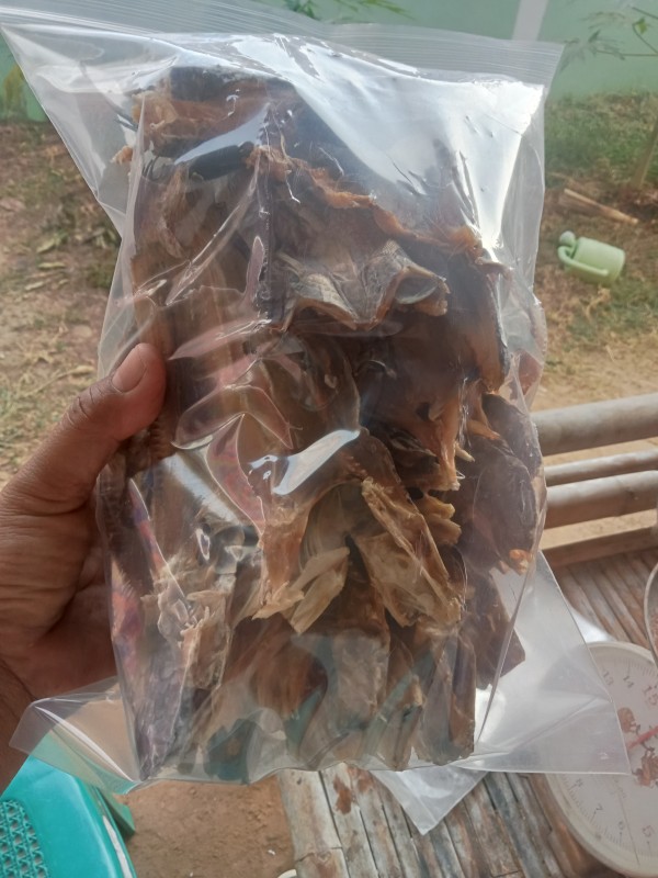 ปลาแดดเดียว