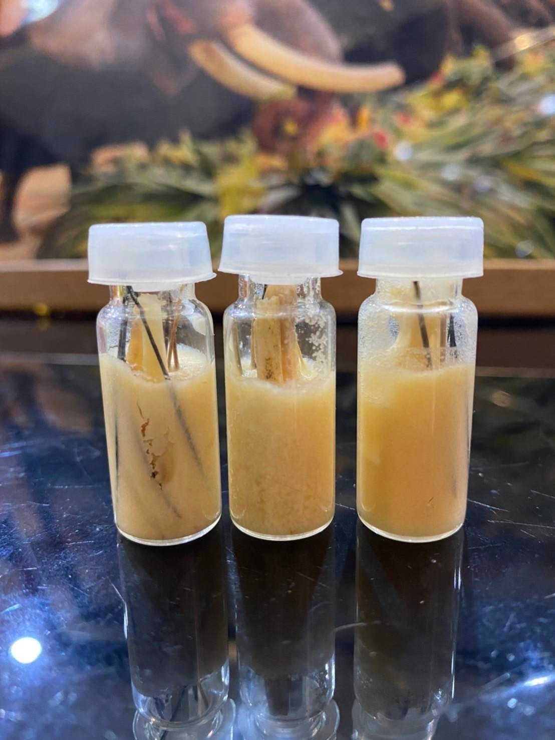 น้ำมันช้างรวมมวลสาร