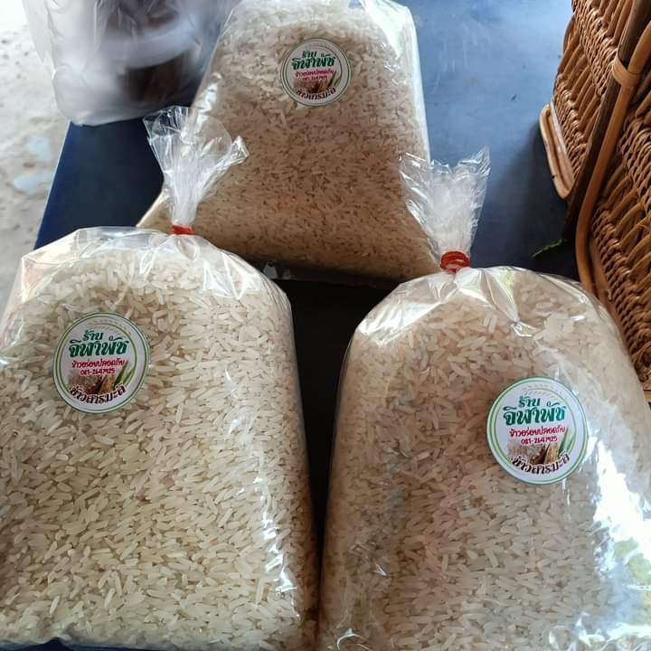 ข้าวมะลิอินทรีย์