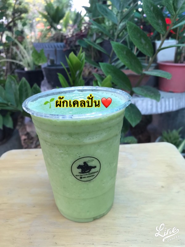 ต้นกล้าผักเคล