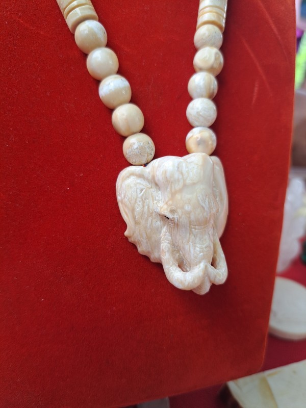 สร้อยฟันกรามช้าง