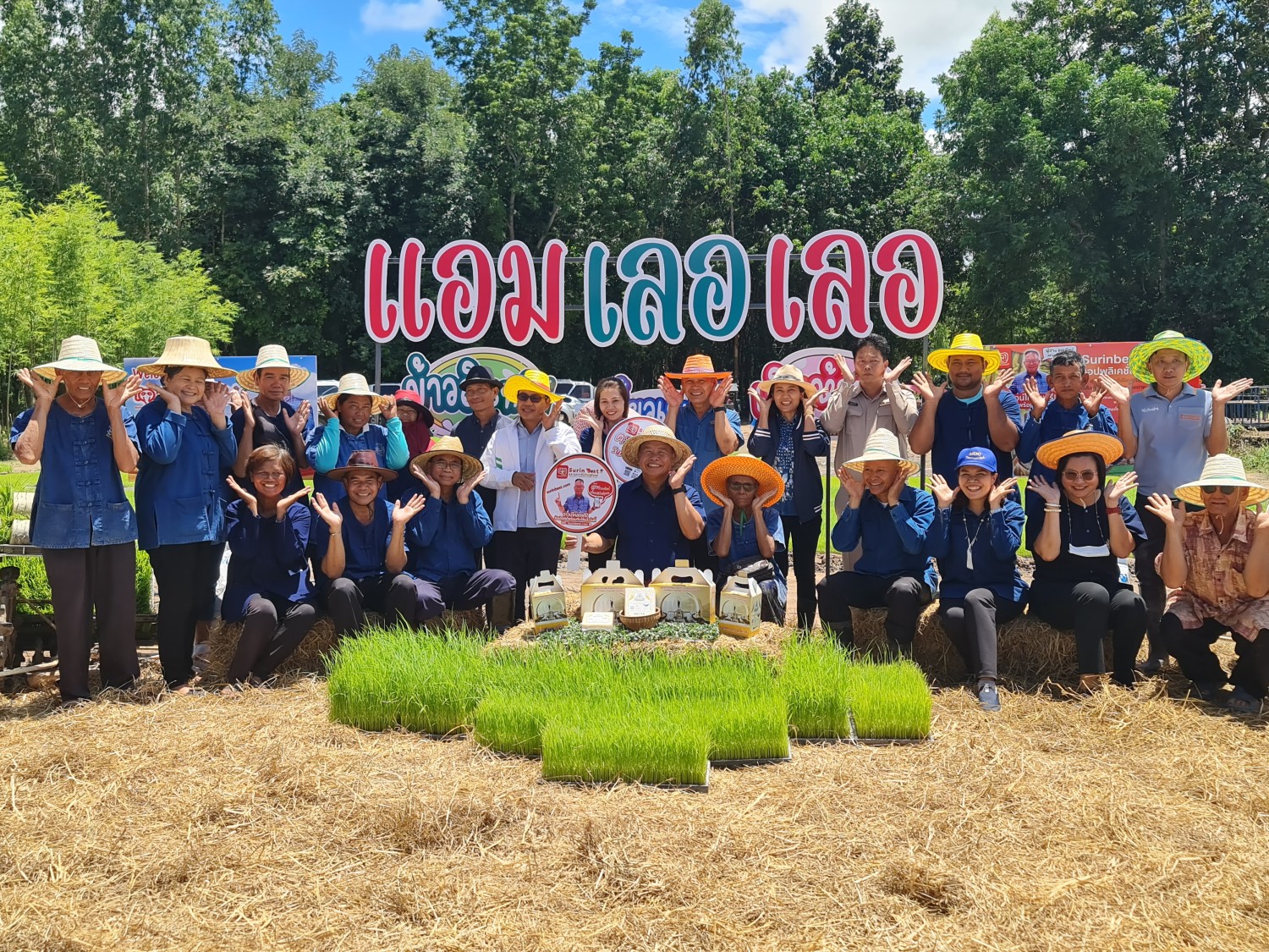 แอม เลอ เลอ ข้าวอินทรีย์