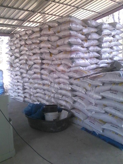 เมล็ดพันธุ์ข้าวหอมมะลิ