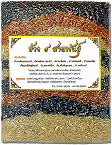 ข้าว ๙ สายพันธุ์