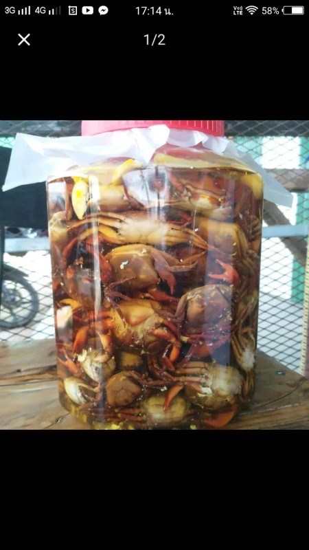 ปูนาดองน้ำปลา