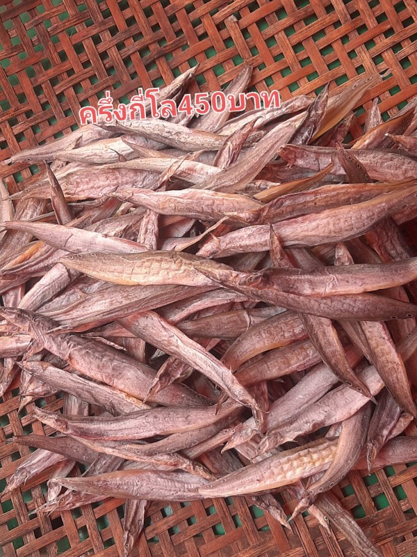 ปลาหลดแดดเดียว