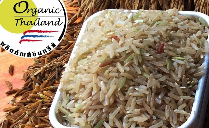 ข้าวกล้องผกาอำปึล  Pka Um-Ple Rice