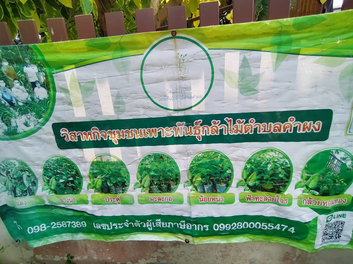 วิสาหกิจชุมชนเพาะพันธุ์กล้าไม้ตำบลคำผง