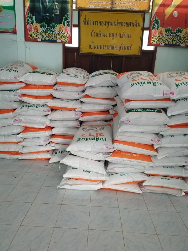 เมล็ดพันธ์ข้าวมะลิ 105