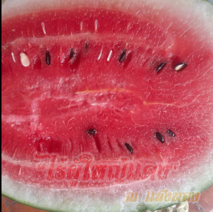 แตงโมปลอดสาร