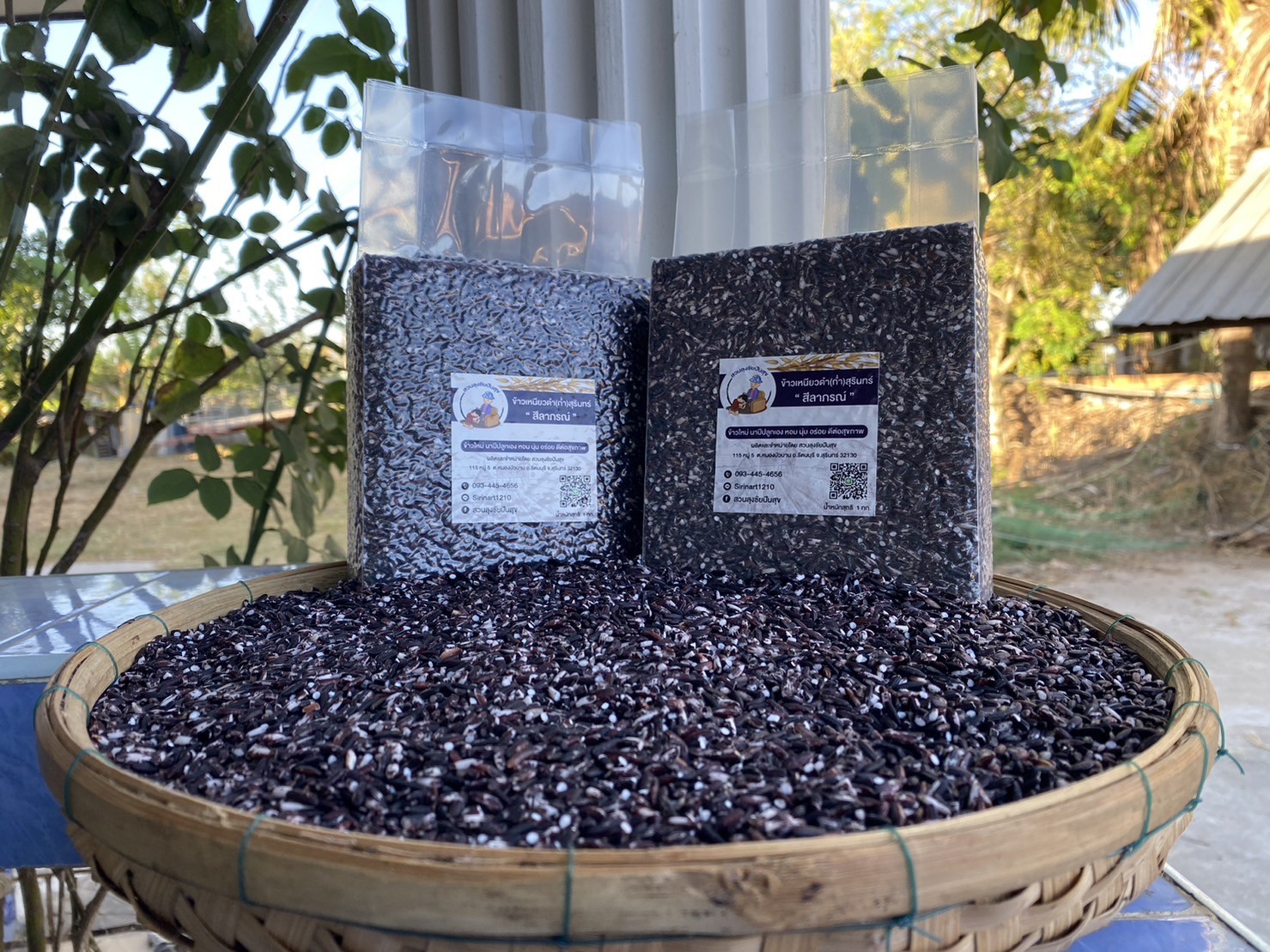 ข้าวเหนียวดำสีลาภรณ์