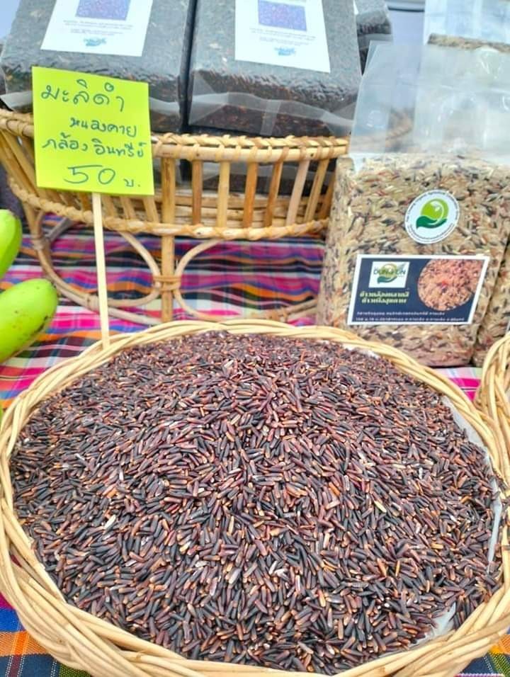 ข้าวมะลิดำอินทรีย์