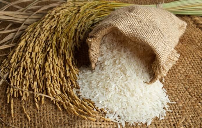 ข้าวหอมมะลิ