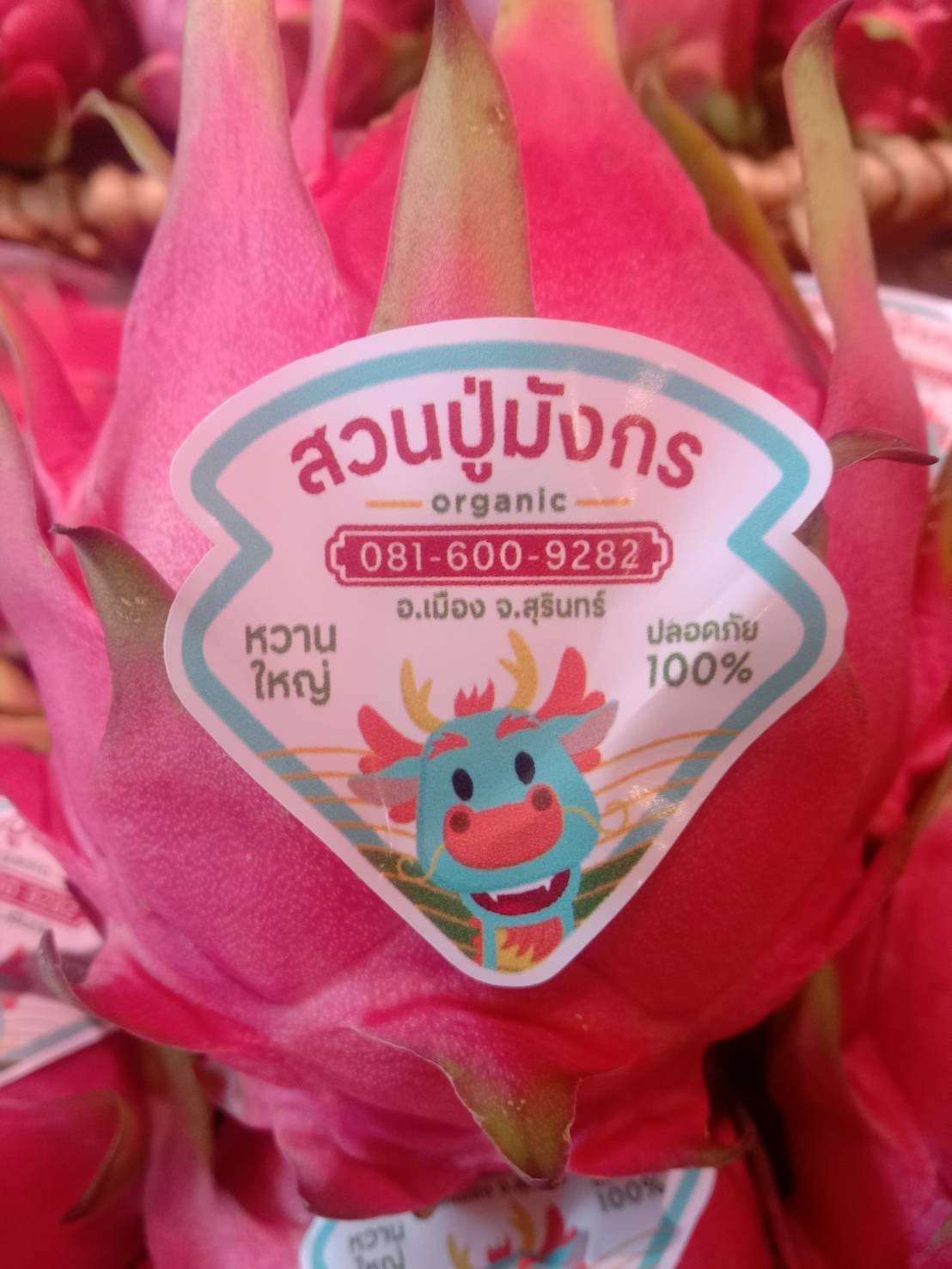 สวนปู่มังกร