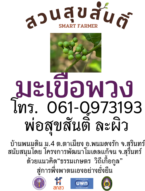 เมล็ดพันธุ์มะเขือพวง