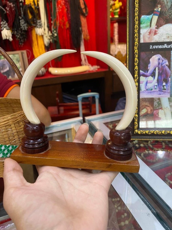 งาคู่ตั้งโต๊ะ