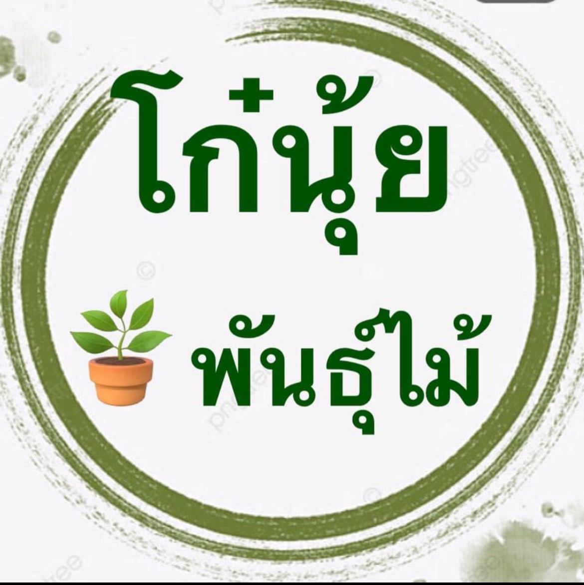 KO-NUI Farm (โก๋-นุ้ย ฟาร์ม)