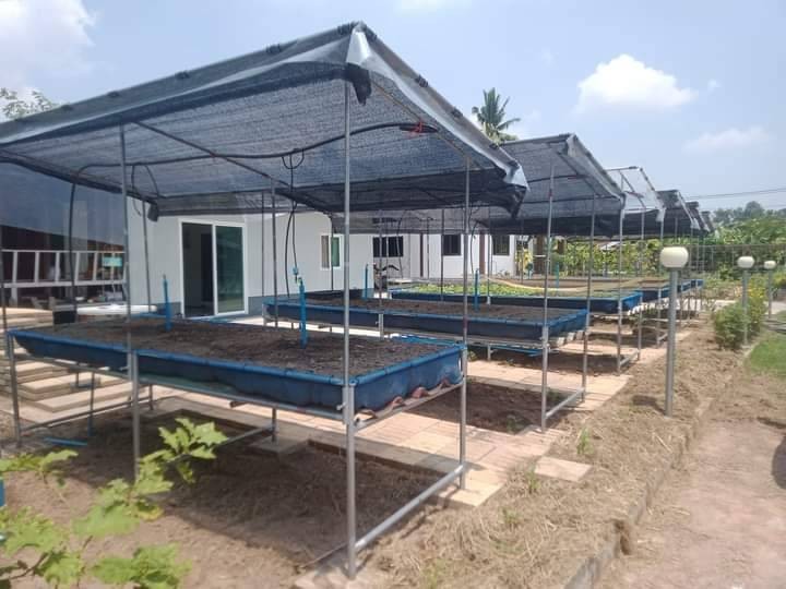 โต๊ะปลูกผัก