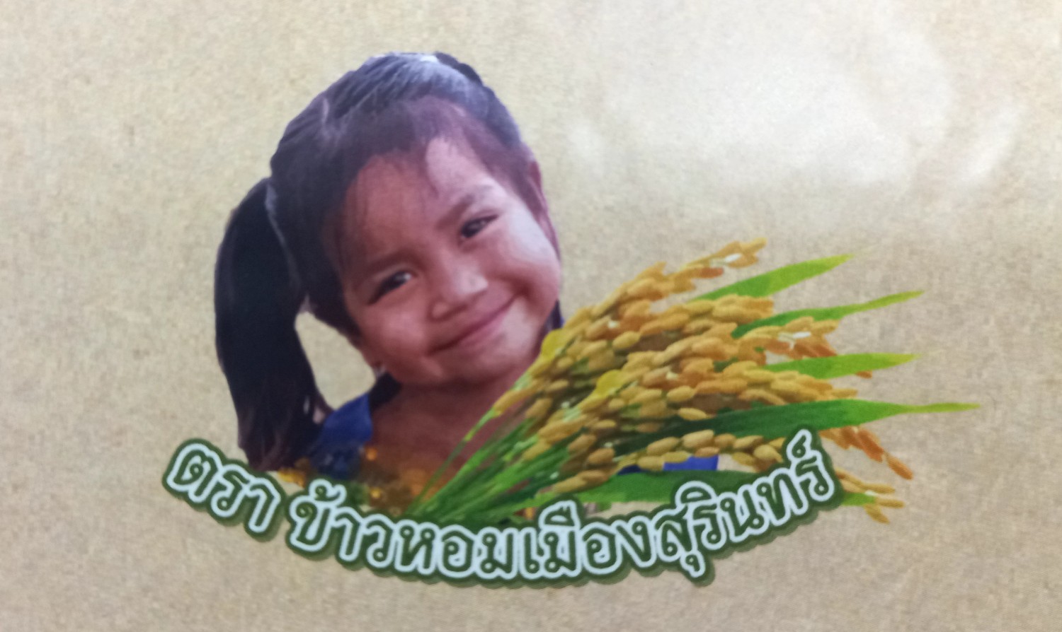 ข้าวหอมมะลิสุรินทร์