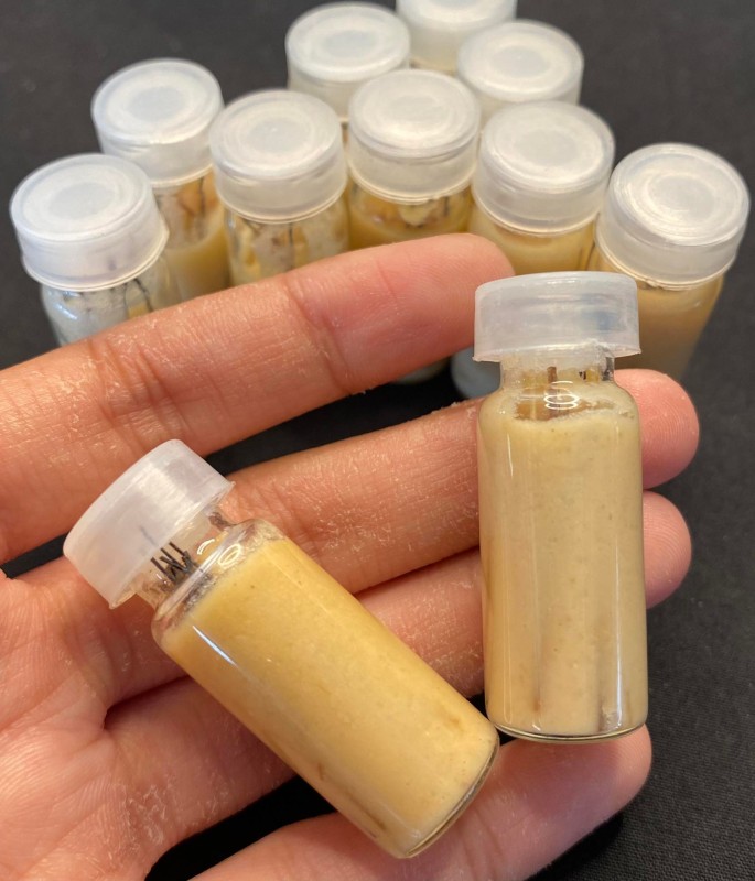 น้ำมันช้างตกมัน