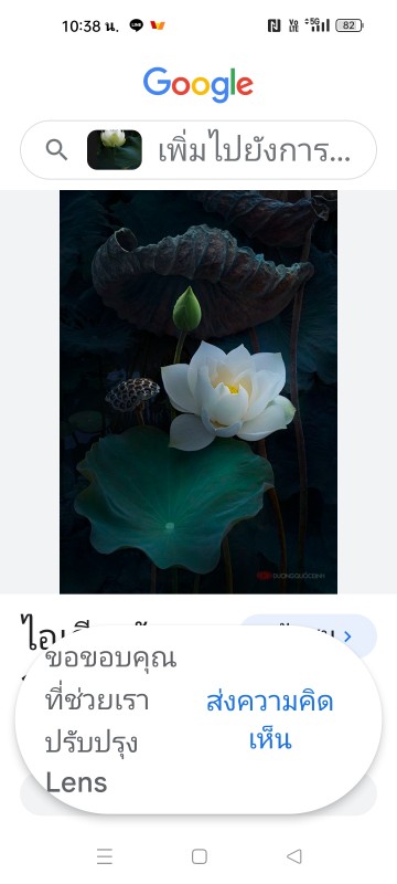 พุทธเกษตร