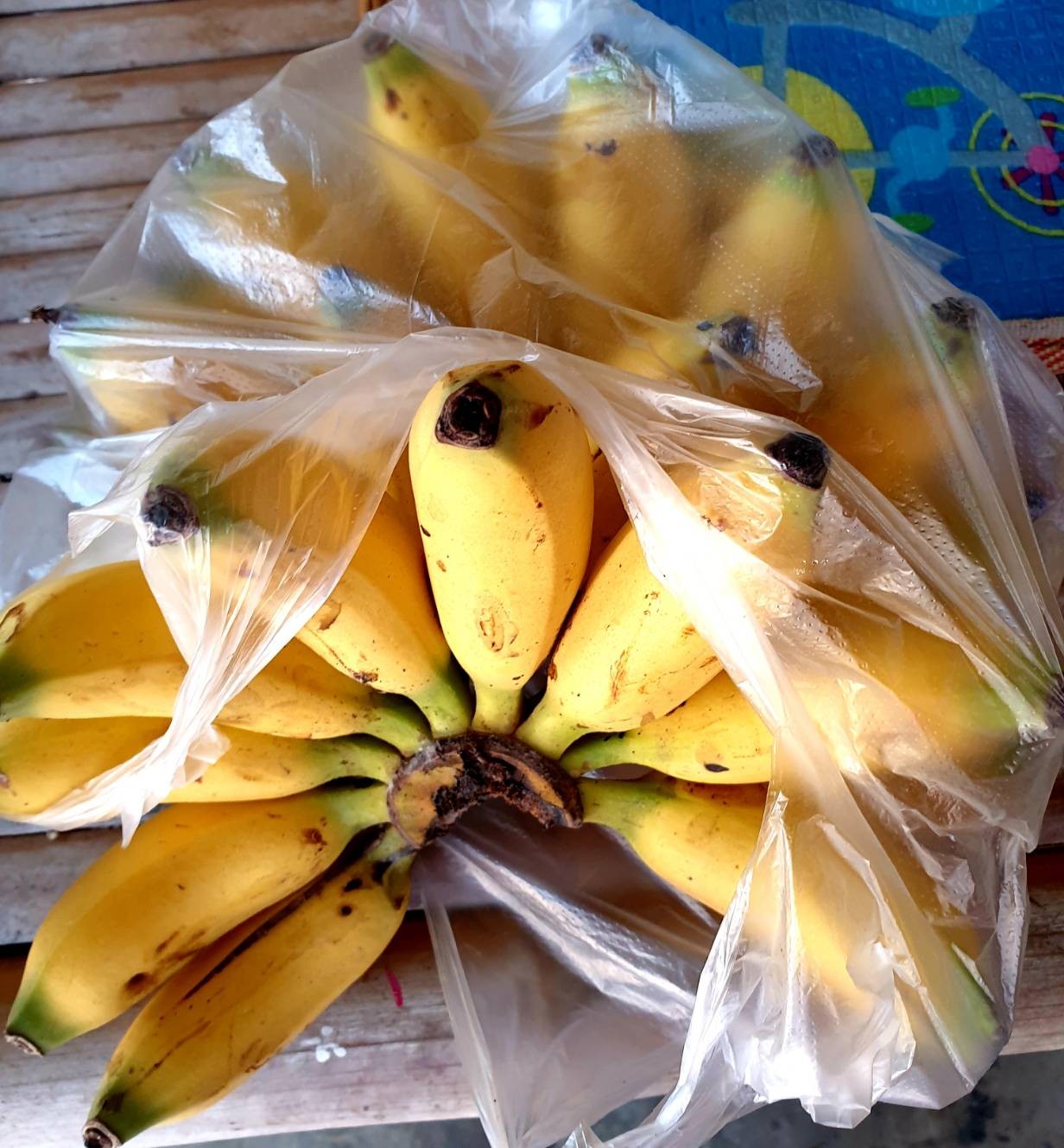 กล้วยไข่