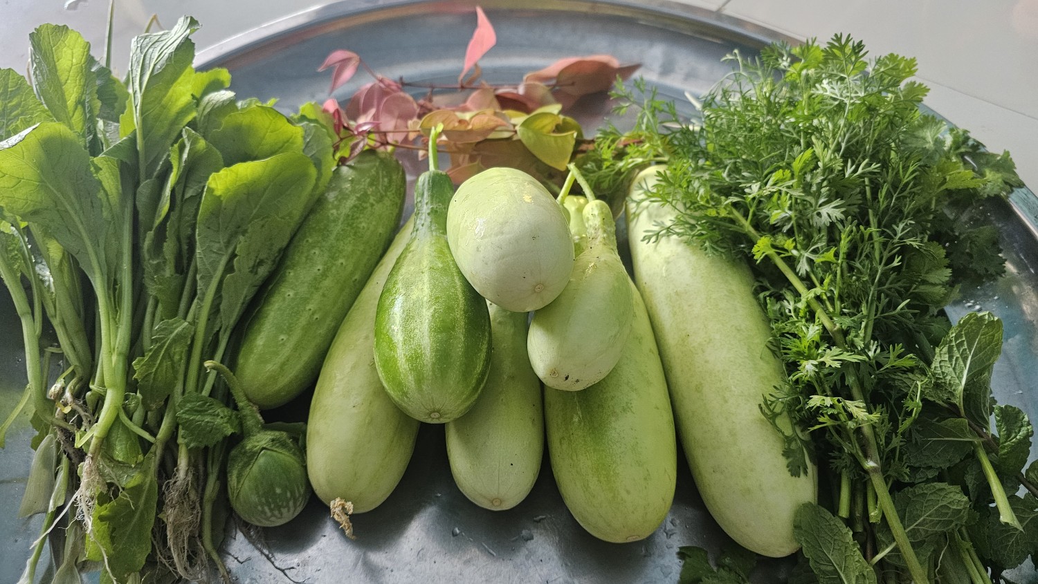 สุรภาเกษตร