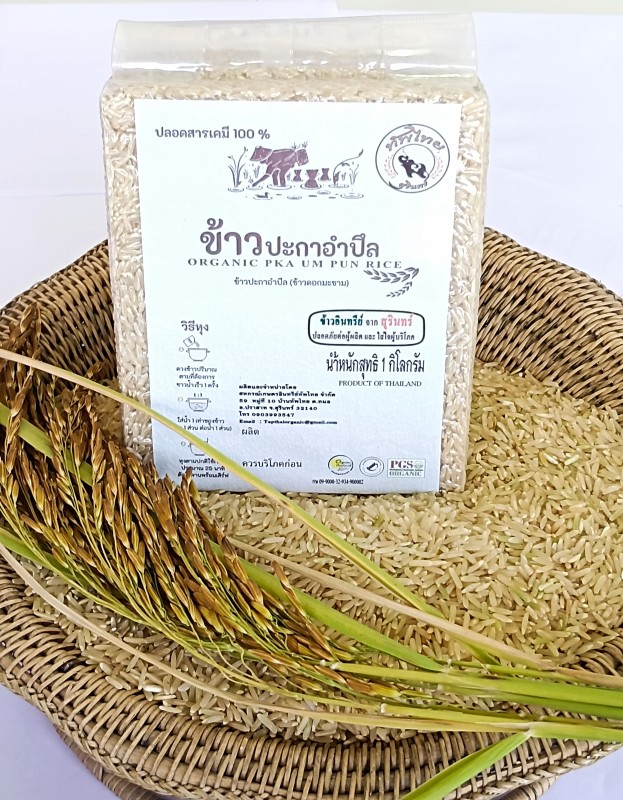 ข้าวปกาอำปึล บ้านทัพไทย