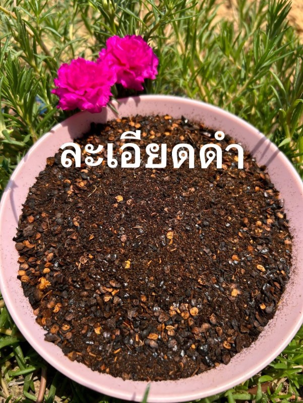 เสี่ยหนุ่มพริกป่น