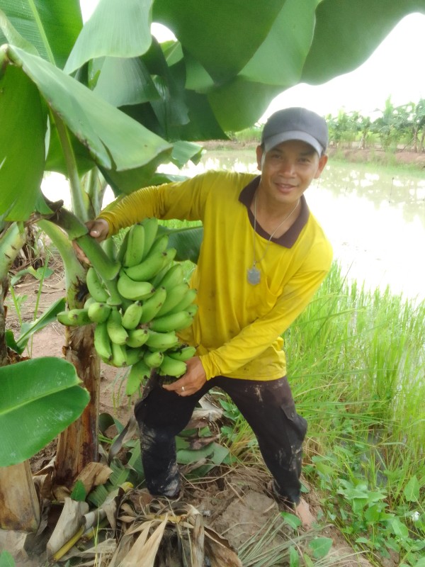 โคกหนองนากลางทุ่ง