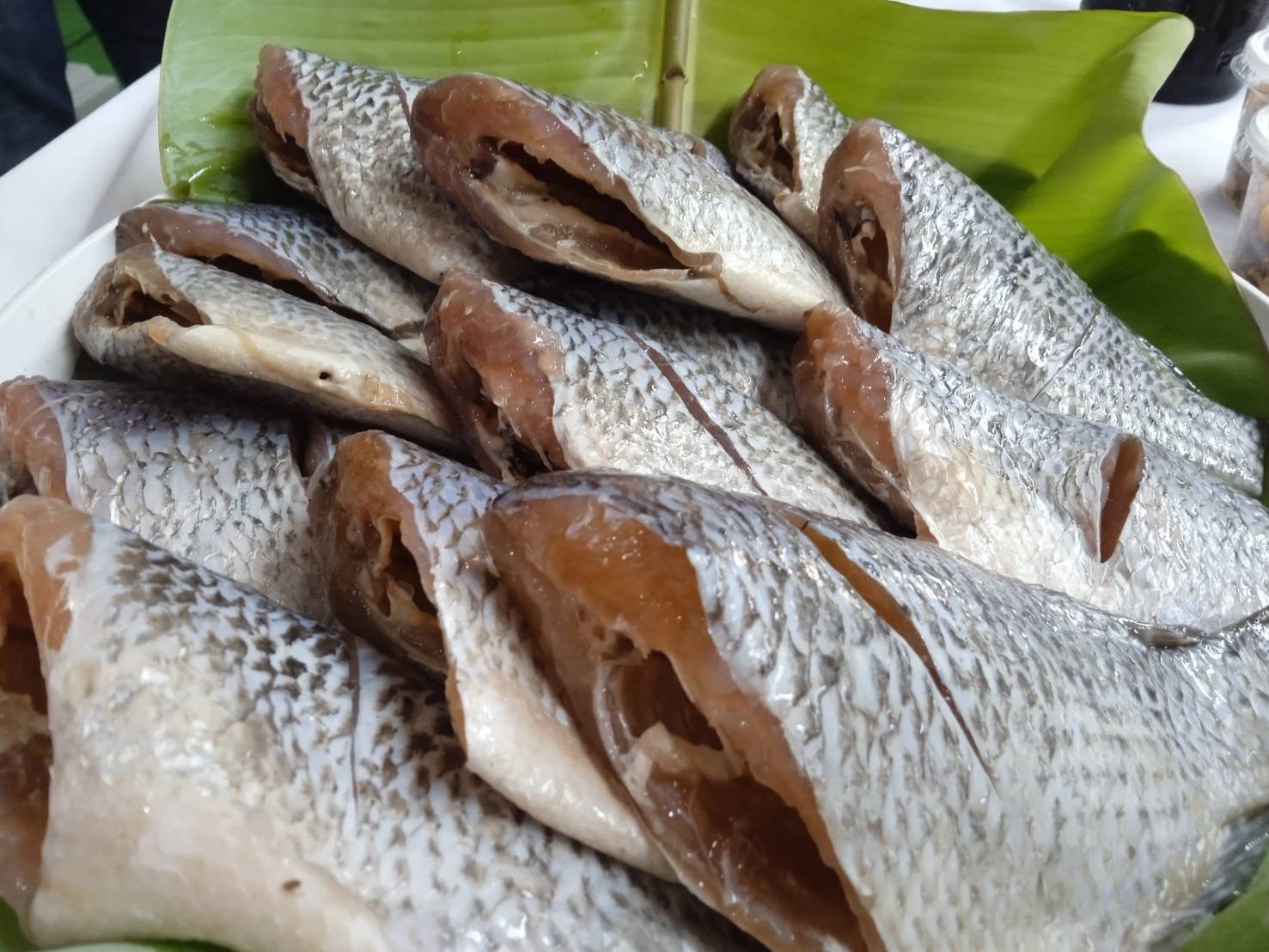 ปลาแดดเดียว