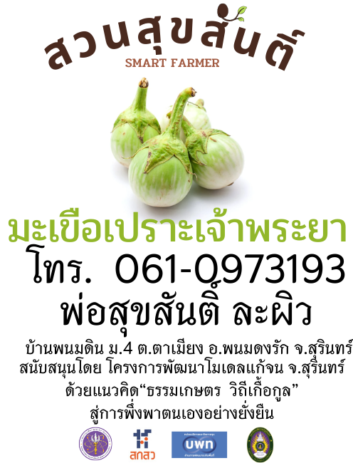 เมล็ดพันธุ์มะเขือเปราะเจ้าพระยา