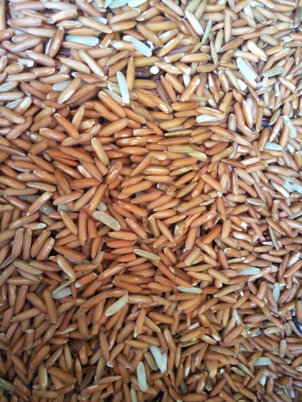 ข้าวเหนียวแดง