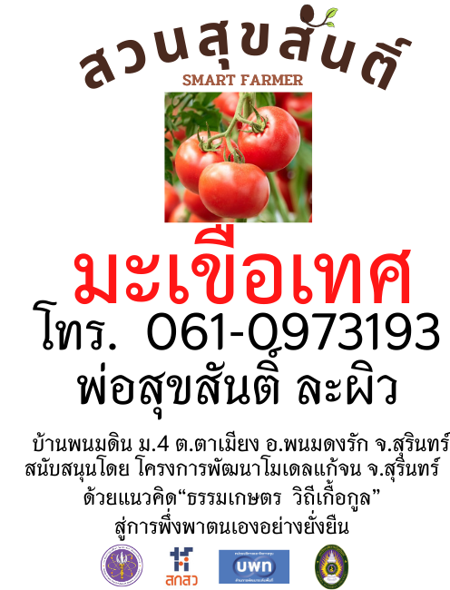 เมล็ดพันธุ์มะเขือเทศ