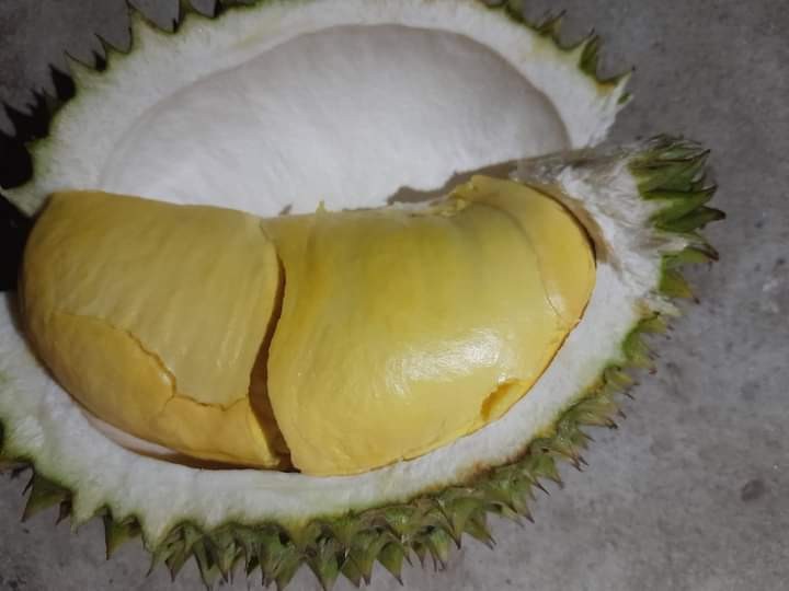 ธัญจิรา สังสมานันท์