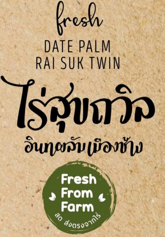 ไร่สุขถวิล อินทผลัมเมืองช้าง