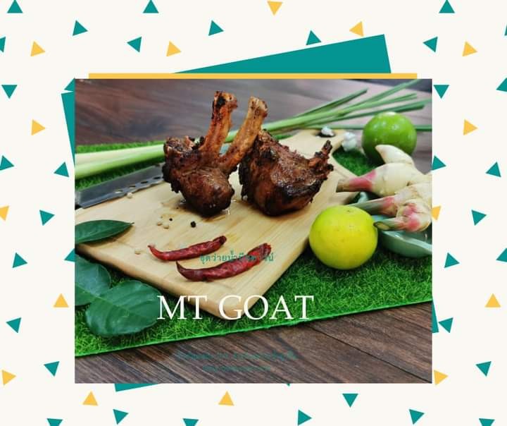 แพะเมืองที MT GOAT(เพียรเจริญฟาร์ม)