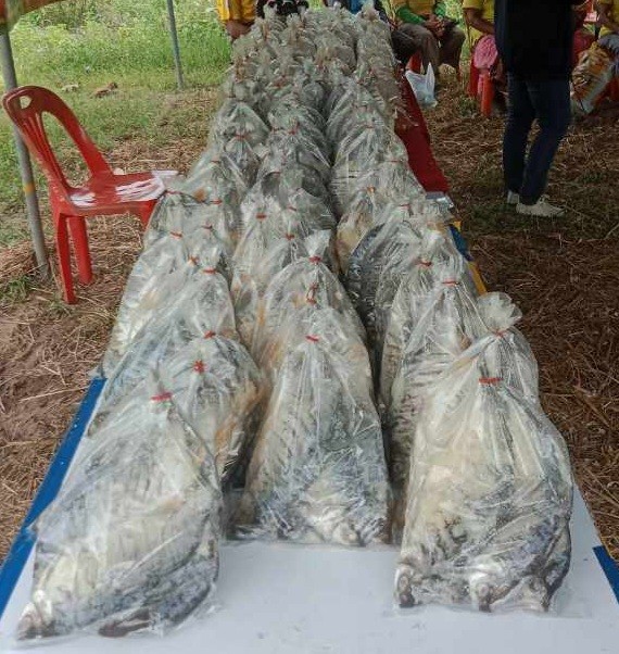 กลุ่มแปรรูปสินค้าบ้านตาบอด