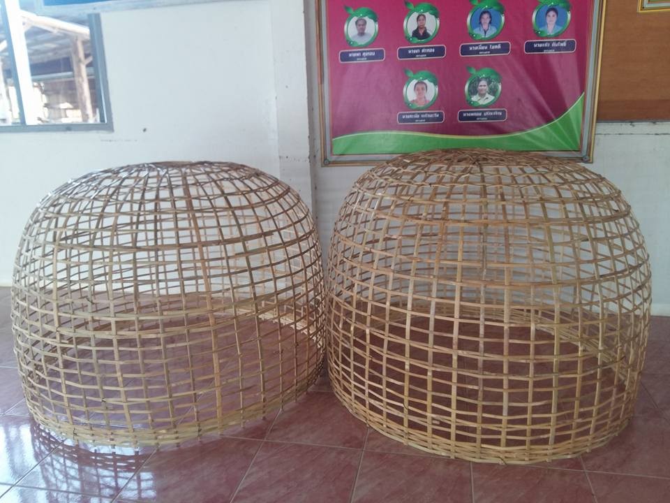 สุ่มไก่